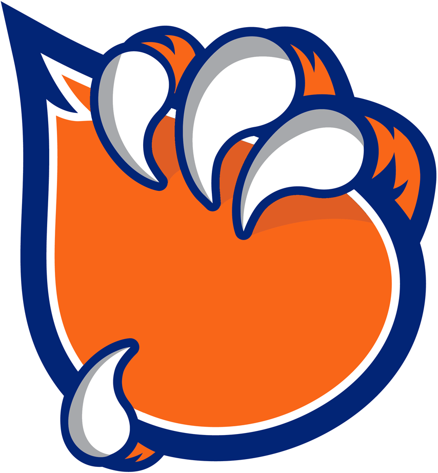 Bakersfield Condors 2015-2018 Secondary Logo iron on heat transfer